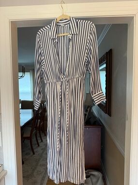 Gap Striped Blue and White Shirt Dress - Classic Long Sleeve